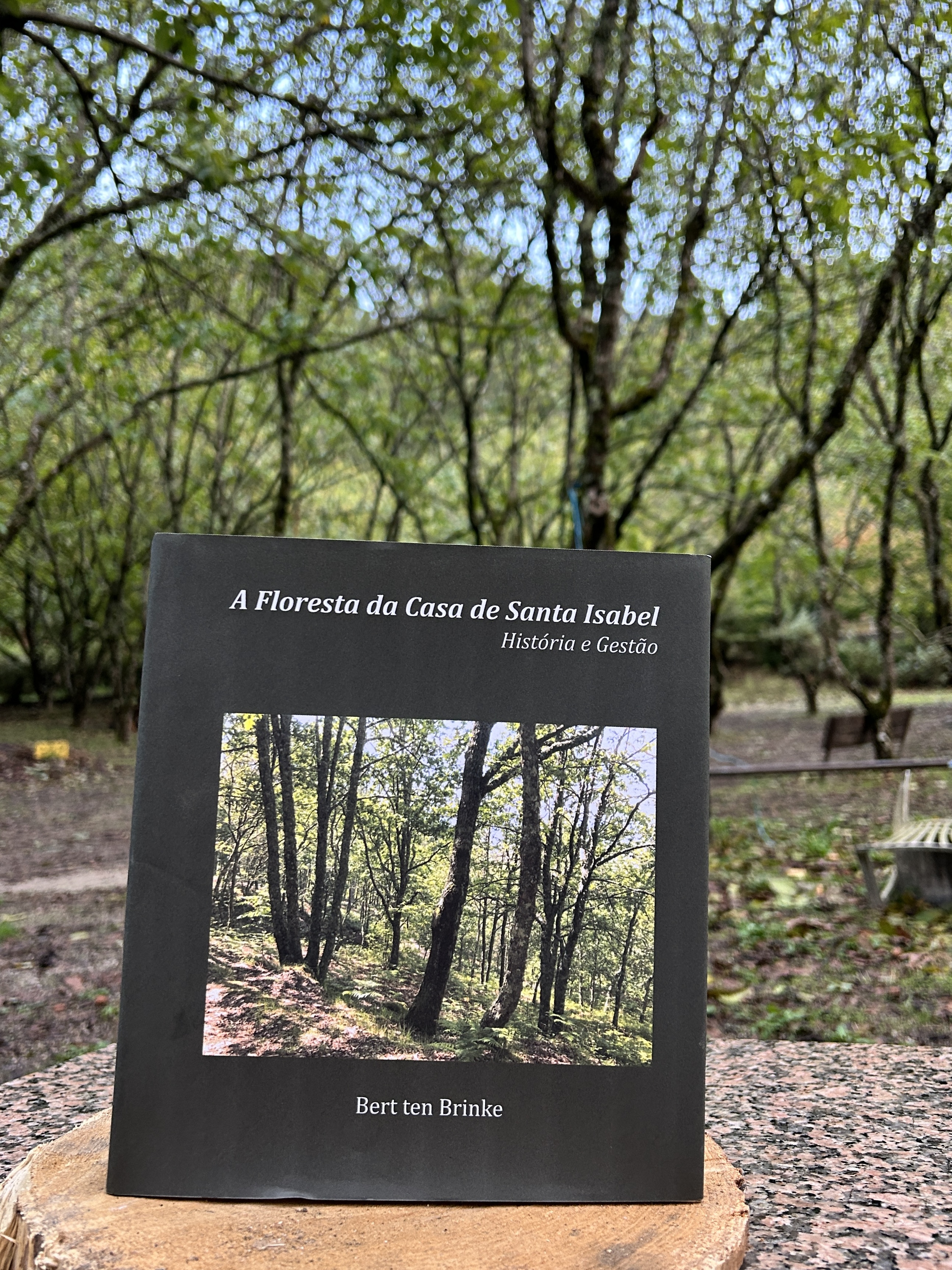 A Floresta da Casa de Santa Isabel