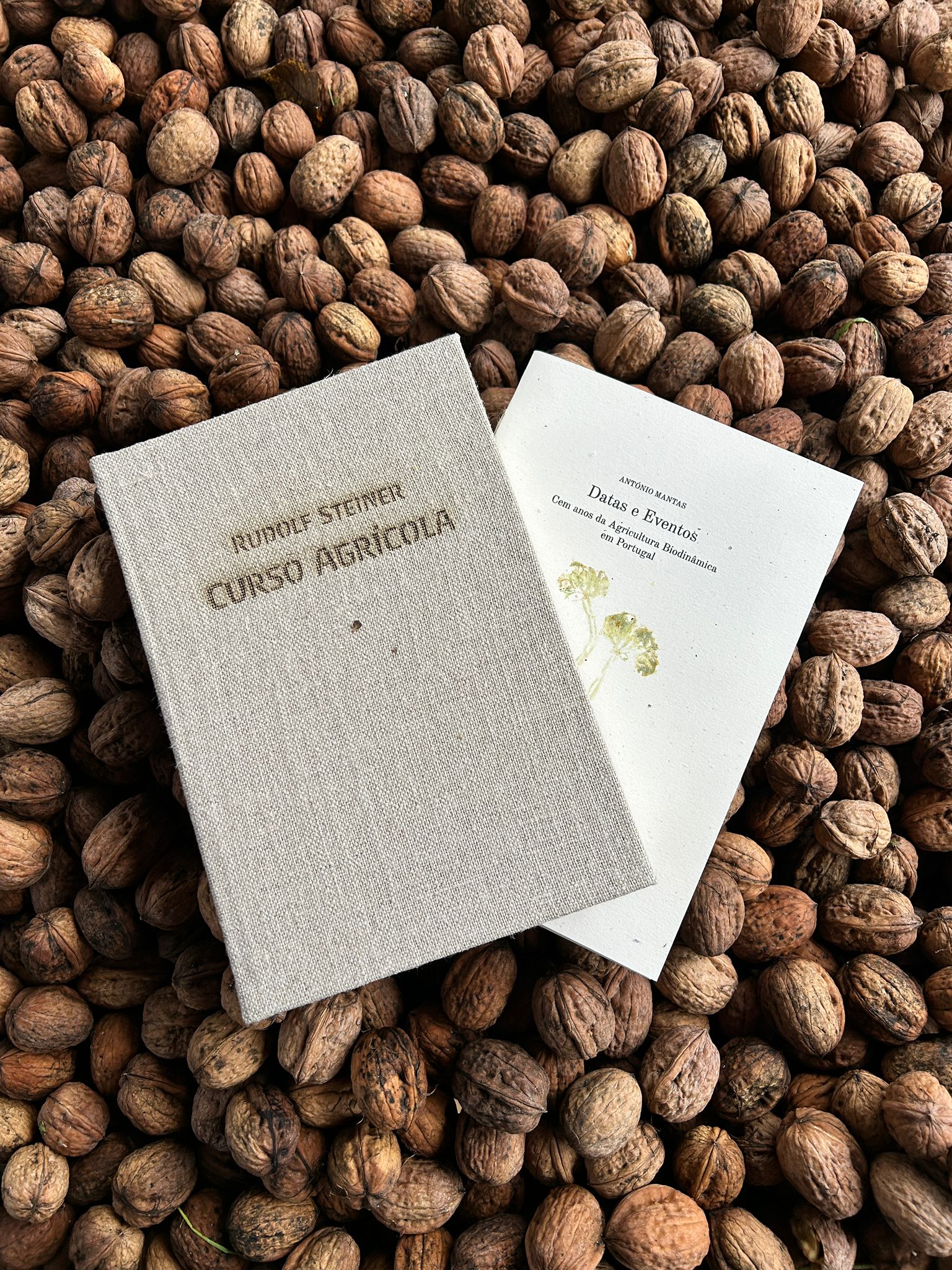 Curso Agrícola - Rudolf Steiner