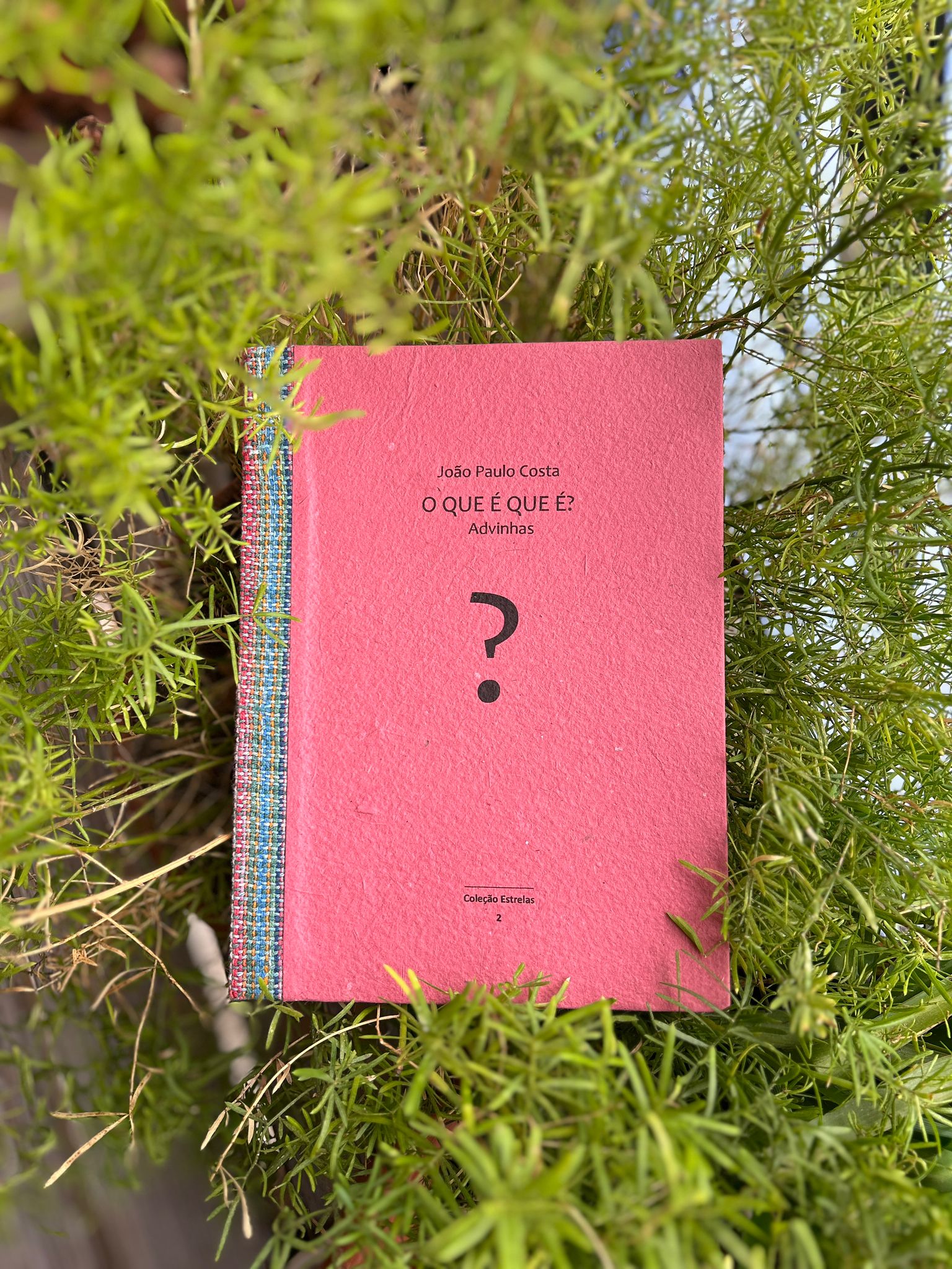 O que é que  é? João Paulo Costa