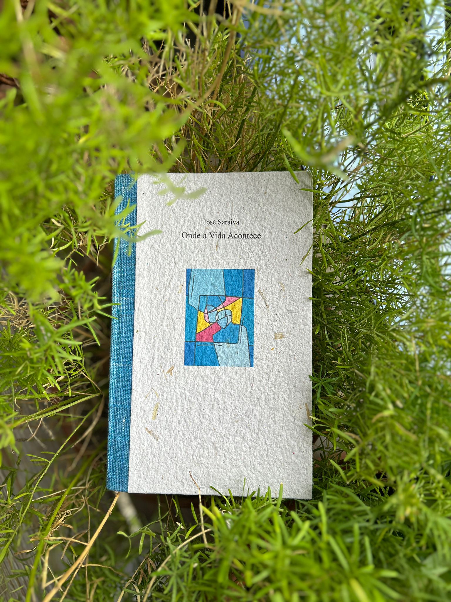 Onde a Vida Acontece