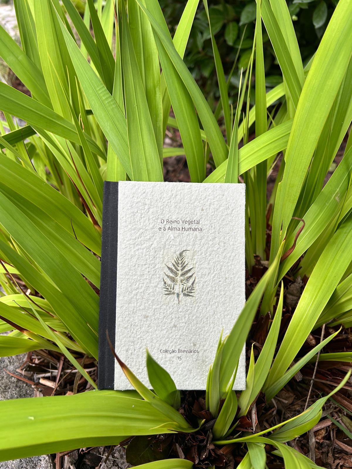 O Reino Vegetal e a Alma Humana