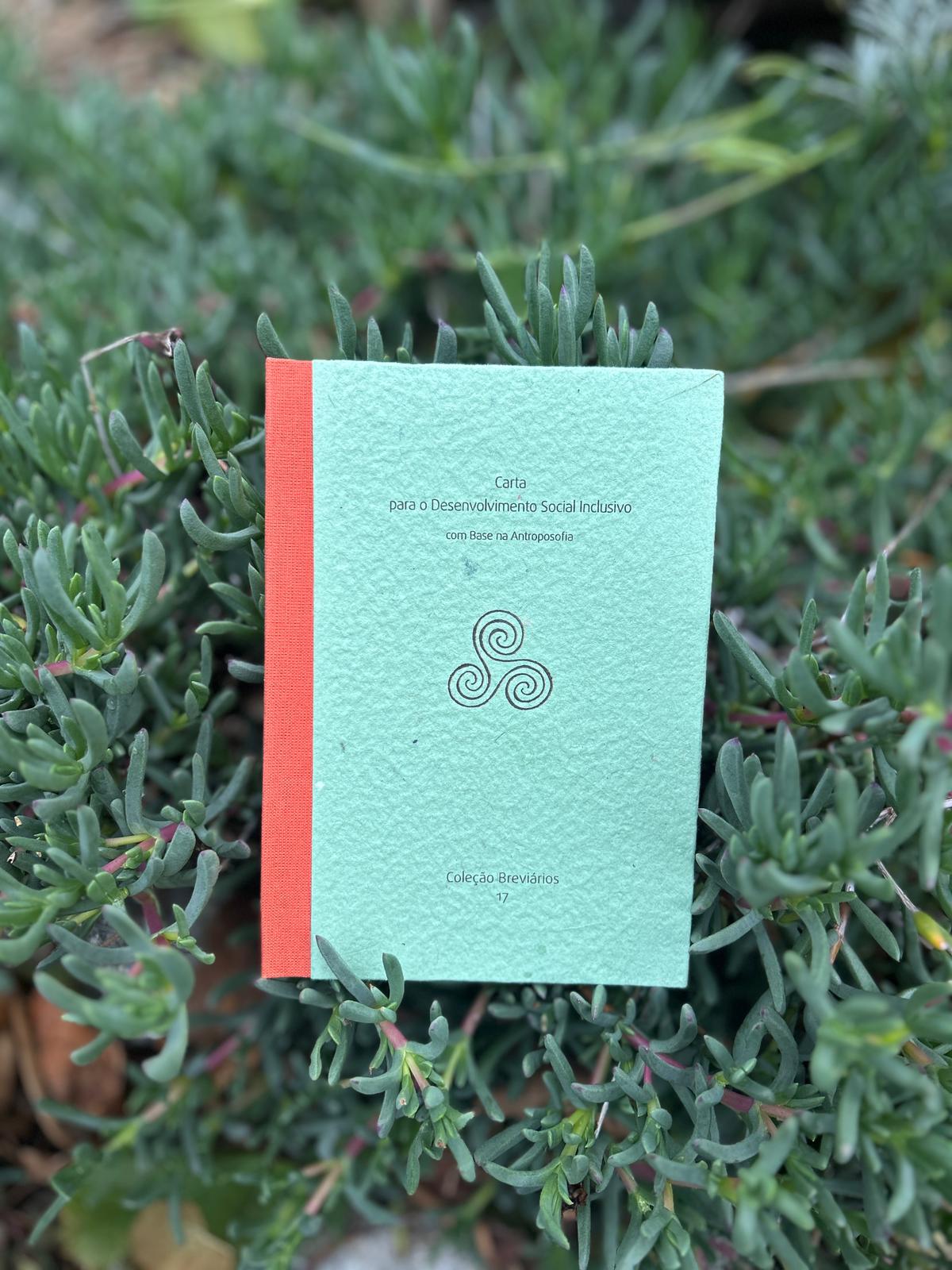 Carta para o Desenvolvimento Social Inclusivo