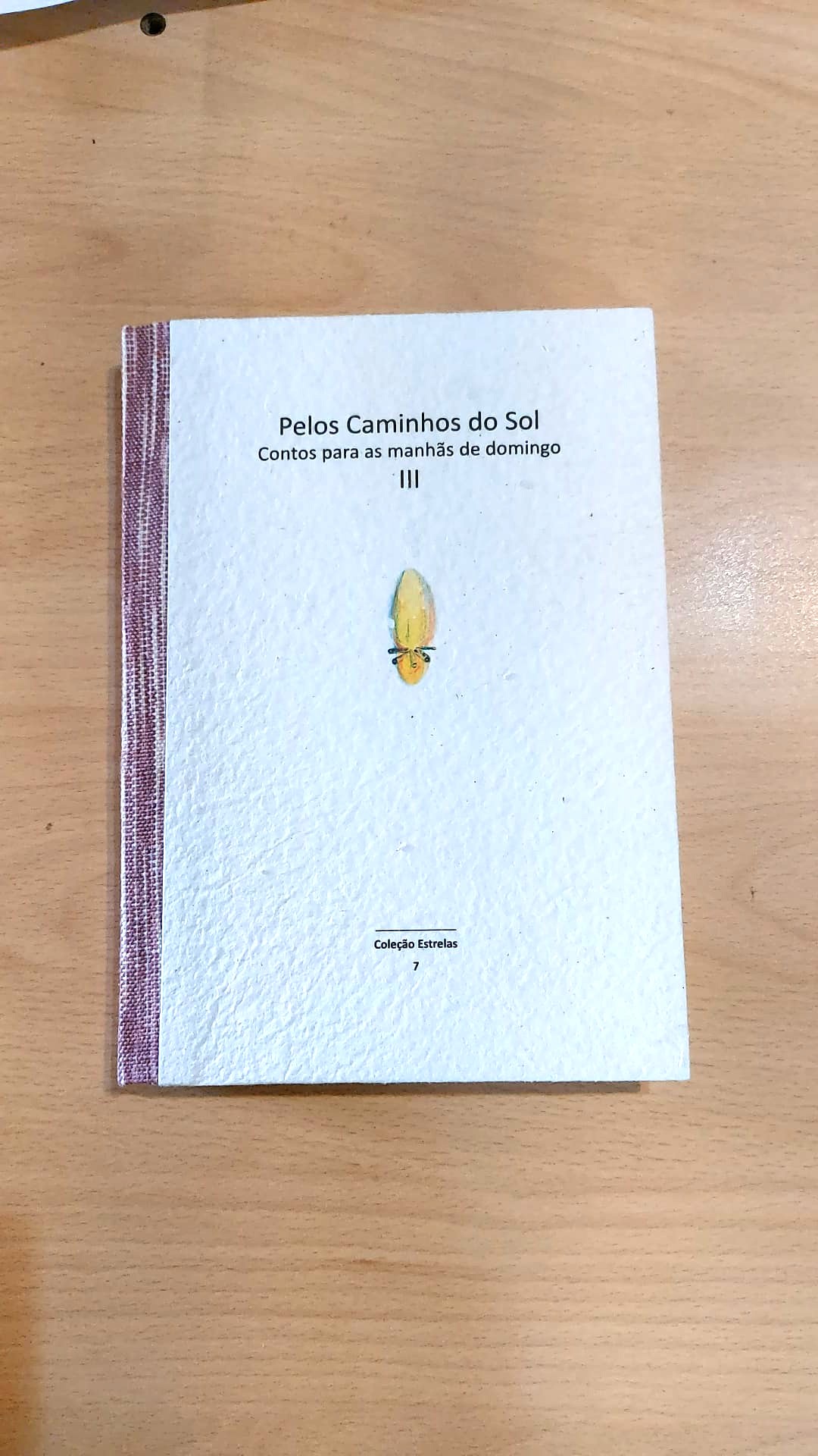 Pelos Caminhos do Sol III