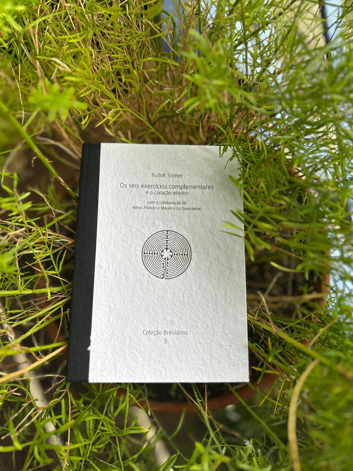 Os seis exercícios complementares e o coração etérico